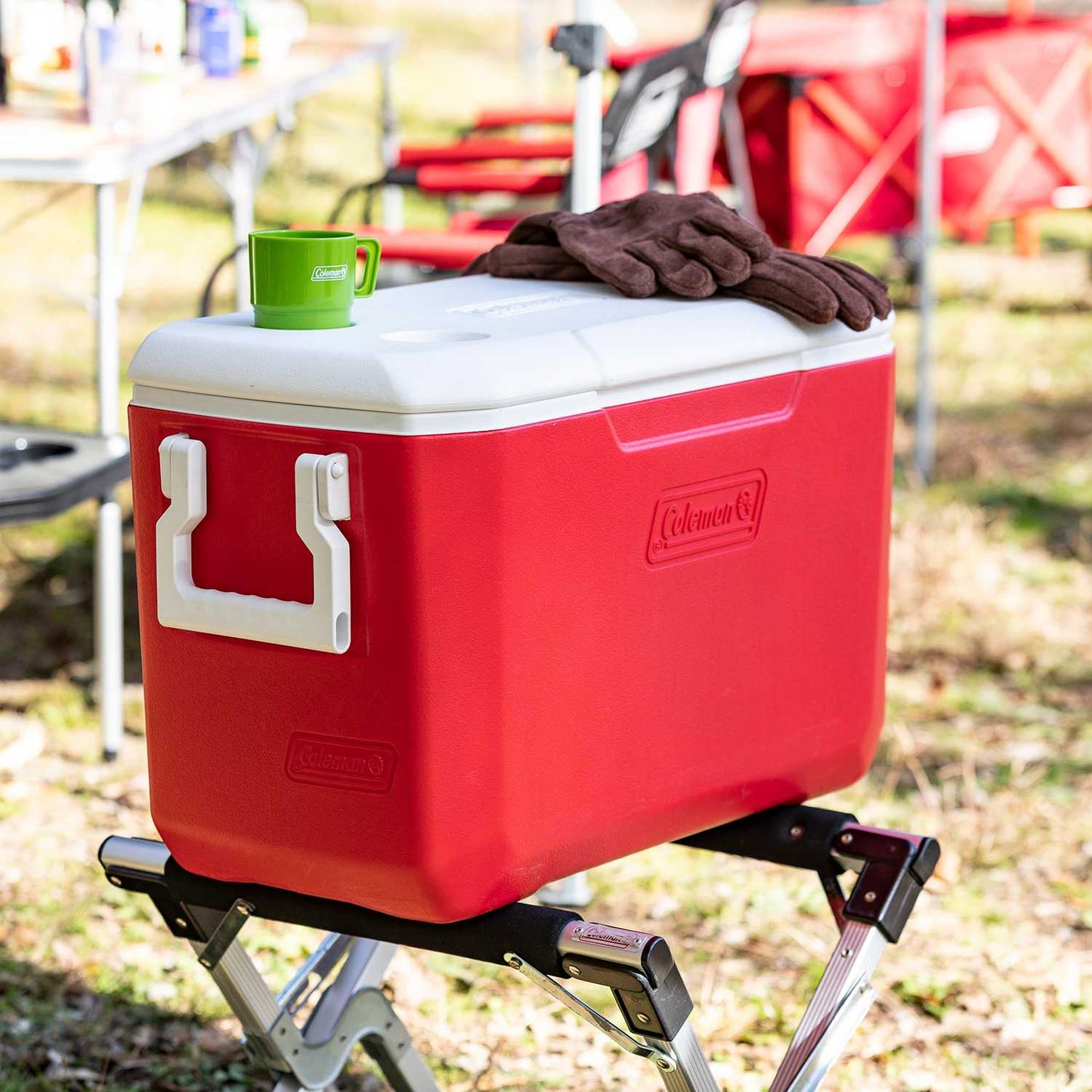 Coleman 48 QT Cooler Asia