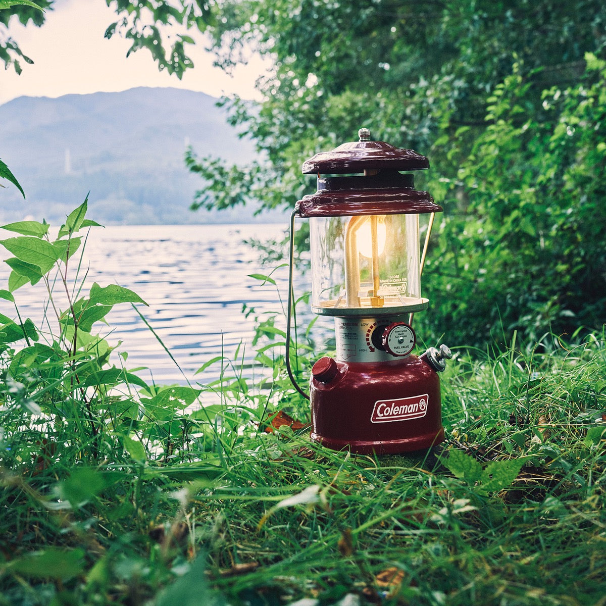 Coleman JP 286A One Mantle Lantern