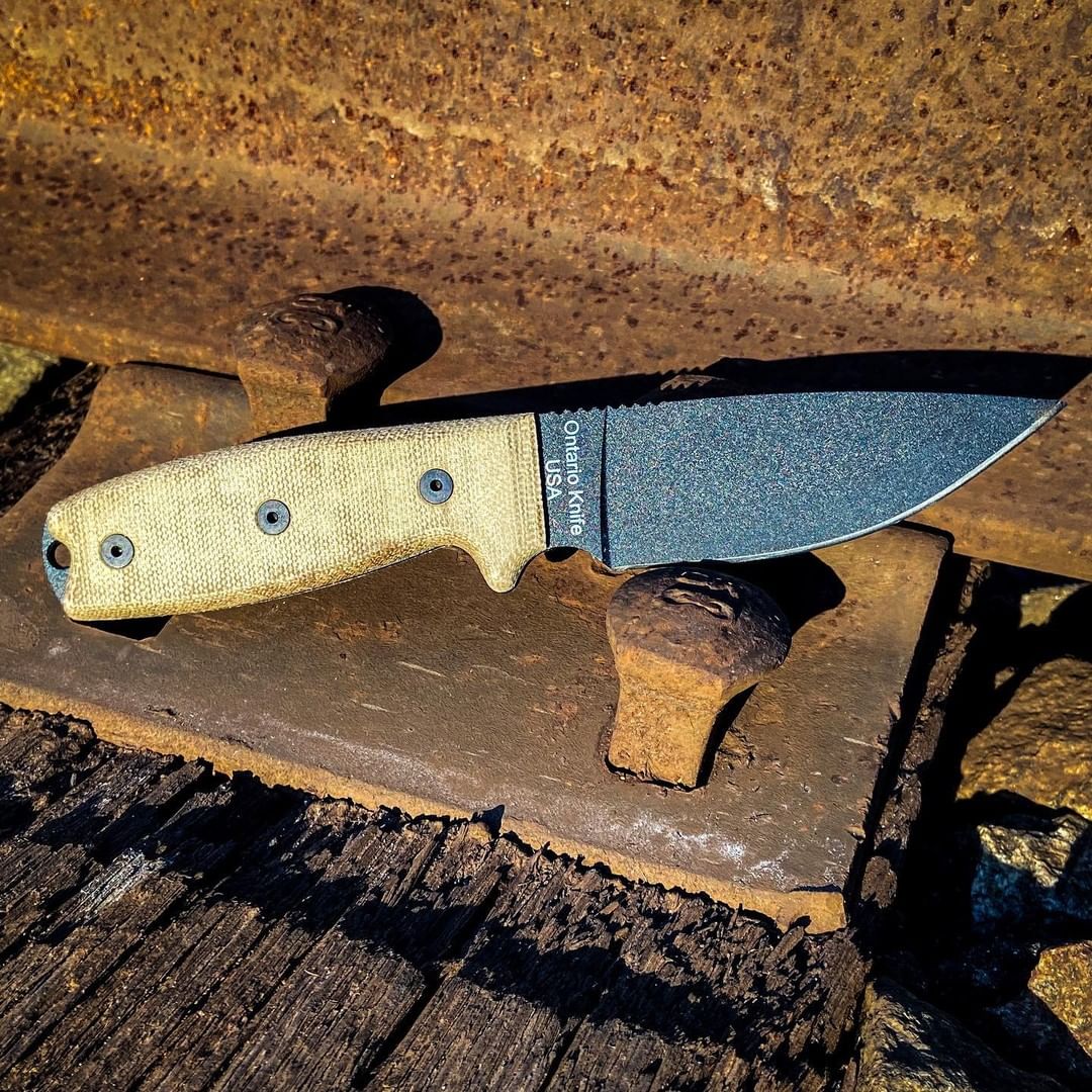 Ontario RAT-3