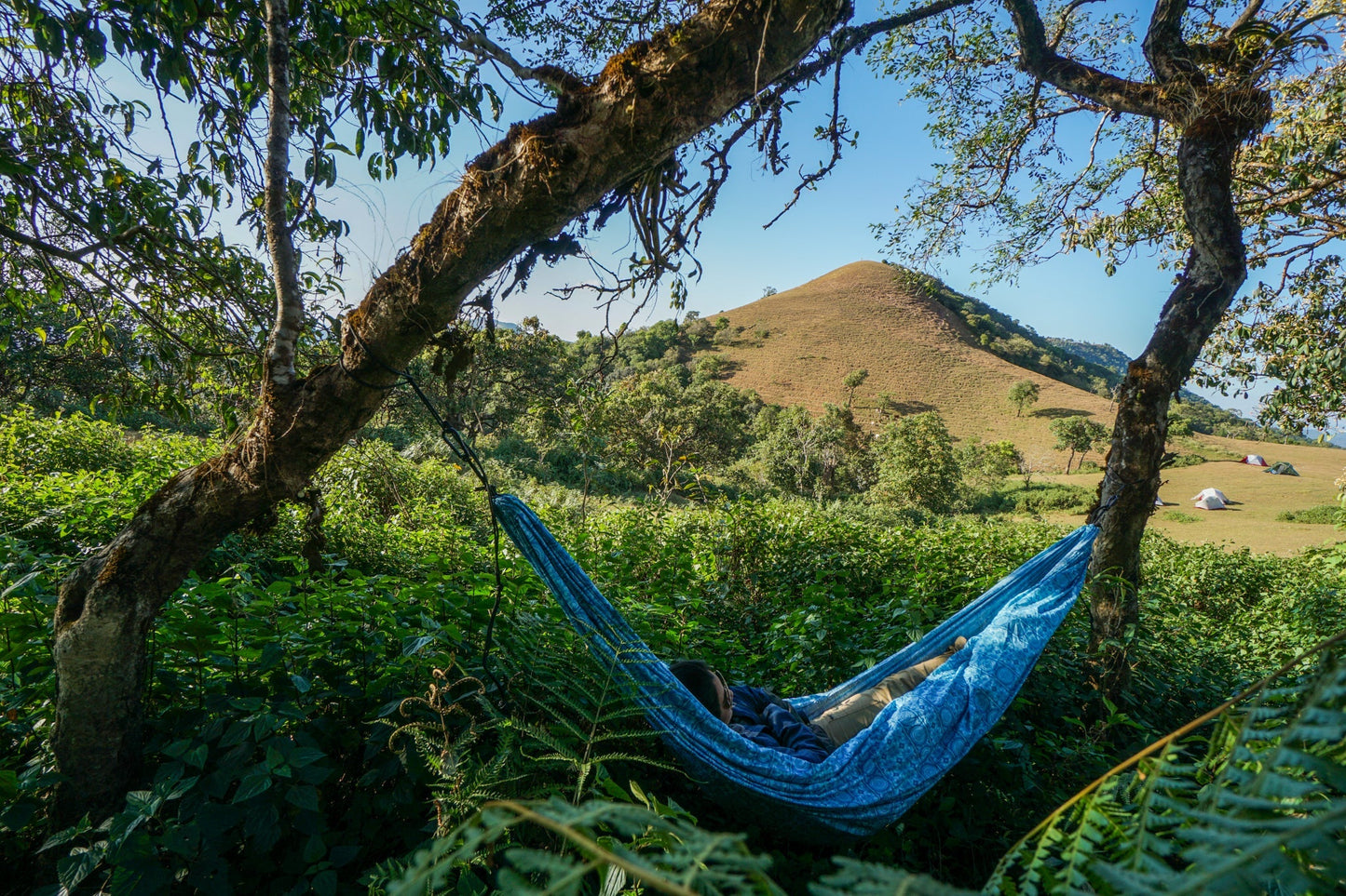 Grand Trunk Thai Special Editions Hammock