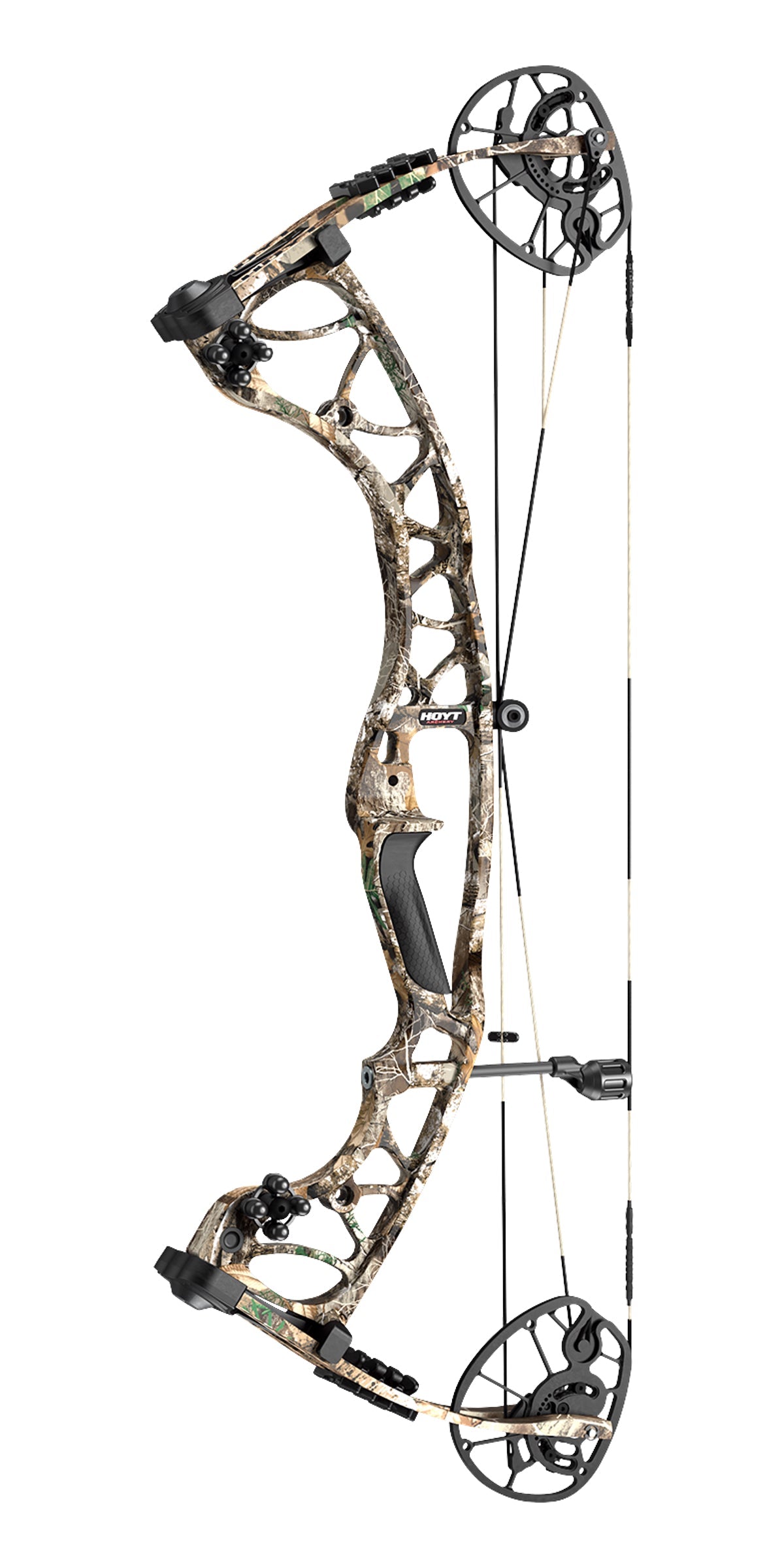 HOYT TORREX XT